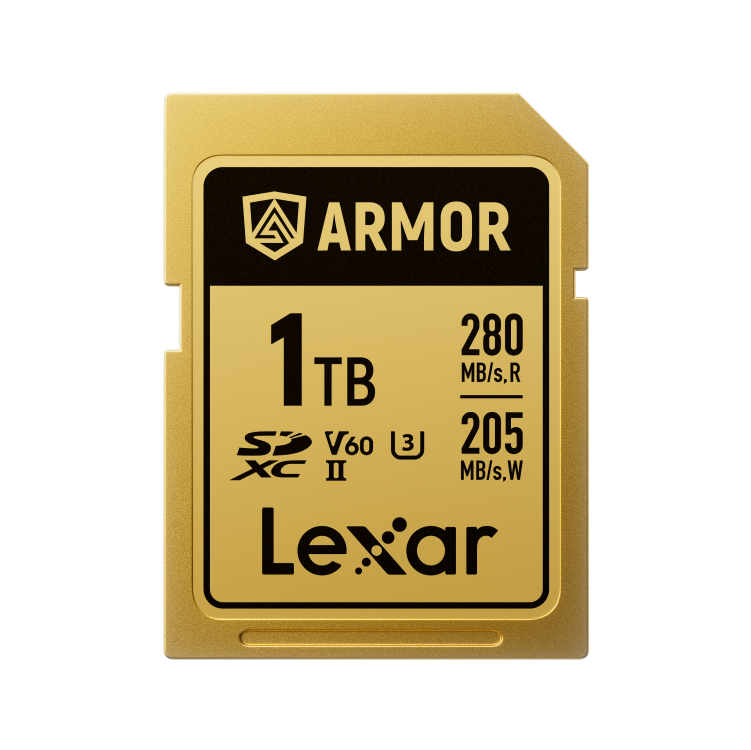 Lexar LSDAMGL001T-RNNNG 1 TB 280-210Mb/s Armor Gold C10 V60 U3 SD Hafıza Kartı