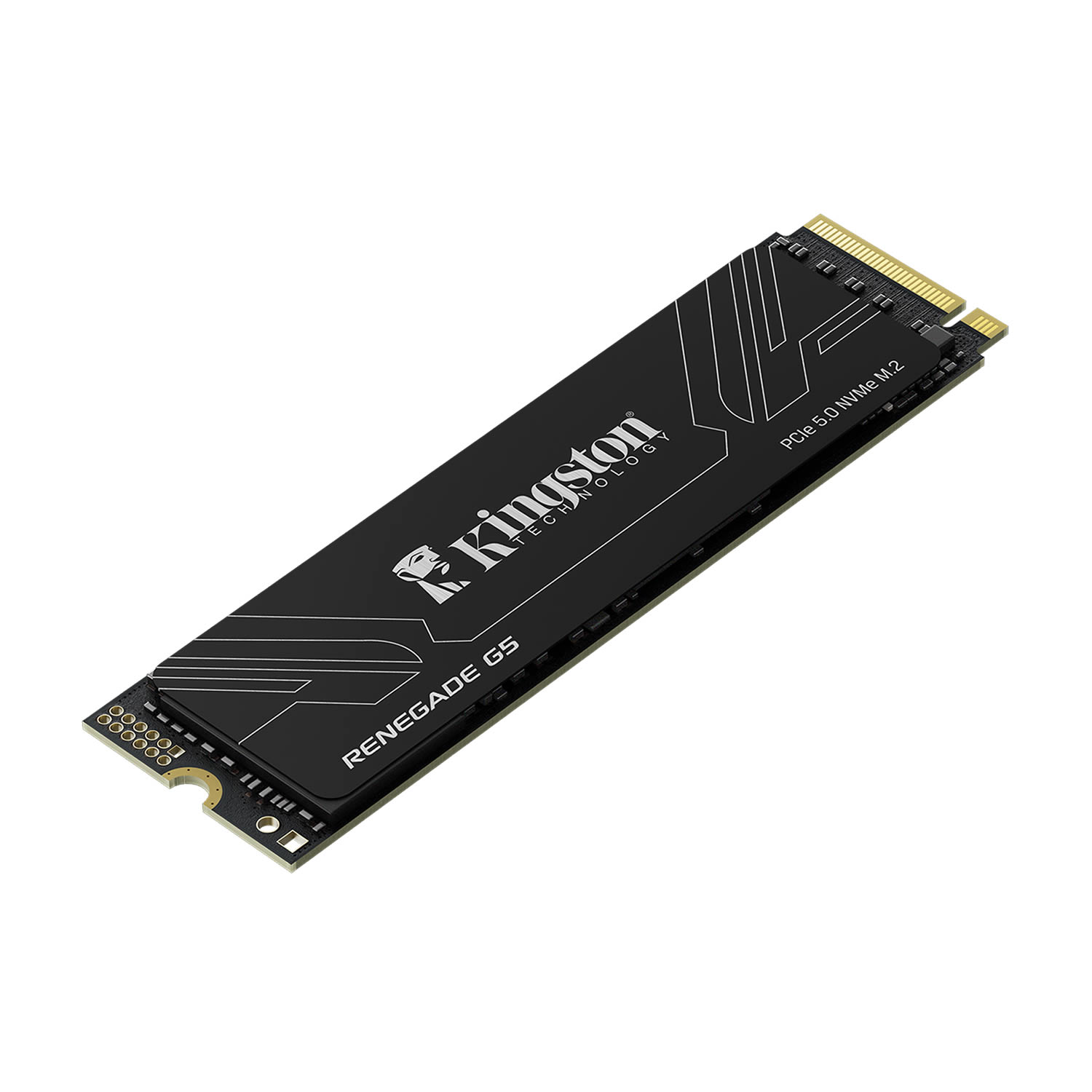 Kingston SRNG2S/1T0 1 TB Renegade G5 14200-11000mb/s PCIe Gen5 x 4 NVMe 22x80 SSD Harddisk