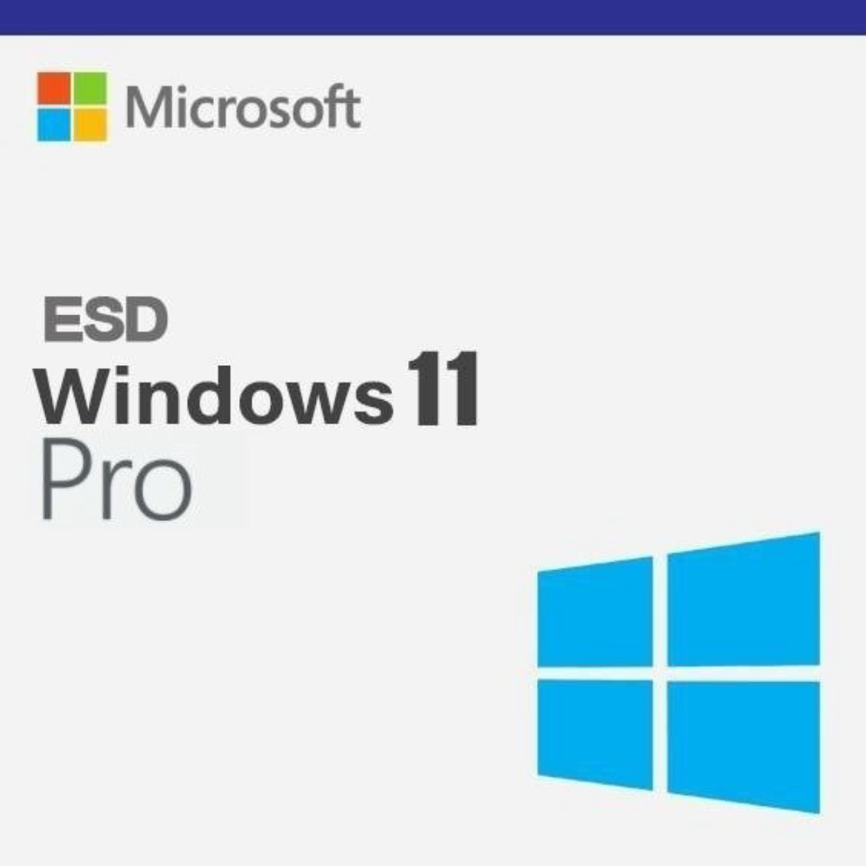 Microsoft FQC-10572 Windows 11 Pro TR-ENG ESD Elektronik Lisans