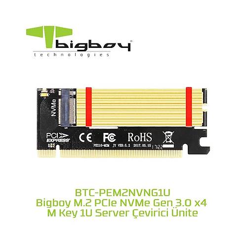 Bigboy BTC-PEM2NVNG1U PCIe 3 X4 M2 X4 M Key 1 U Server eviricisi