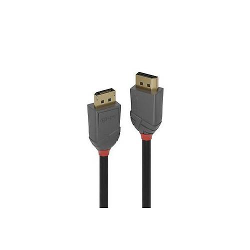 Lindy LIN-36481 1 Mt DSIPLAY PORT to DISPLAY PORT V1.4 G�r�nt� Kablosu