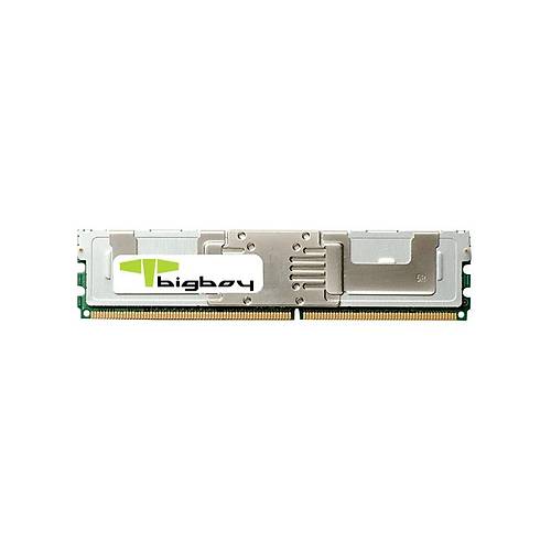 Bigboy BTS789/4G 4 GB DDR2 667Mhz Registered Sunucu Bellei