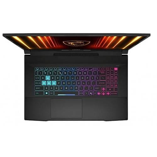 Msi KATANA 17 HX B14WFK-217TR CI9 14900HX 2.2GHz 32GB 1GB 8GB RTX 5060 17.3 240Hz Win11 Home Notebook