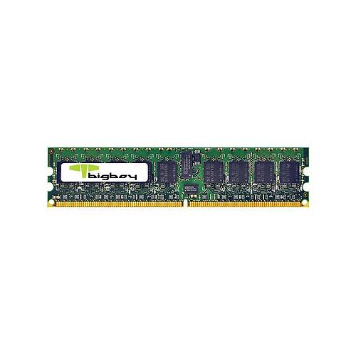 Bigboy BTS4227/1G 1 GB DDR2 667Mhz Registered Sunucu Belleği