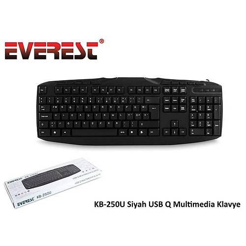 Everest KB-250U Q TR USB Multimeda Siyah Kablolu Klavye