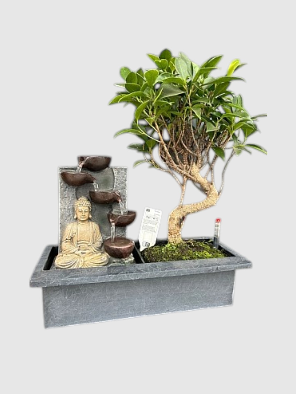Bonsai & Şelale Dekoru (BÜYÜK BOY) | Lüks Hediye Bitki