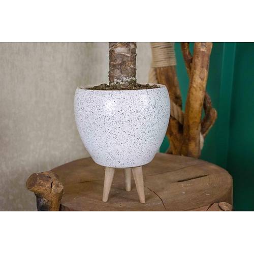 3 Ayaklı Beyaz Granit Terracota Toprak Saksıda Yuka Salon Bitkisi