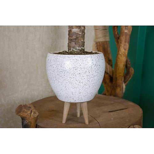 3 Ayaklı Beyaz Granit Terracota Toprak Saksıda Yuka Salon Bitkisi
