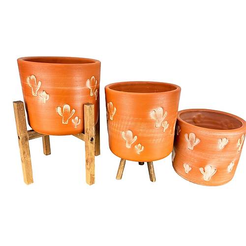 Bitki Tasarm Kakts Desenli Toprak Saks Sakslk Salon ieklik l Set - 19 CM