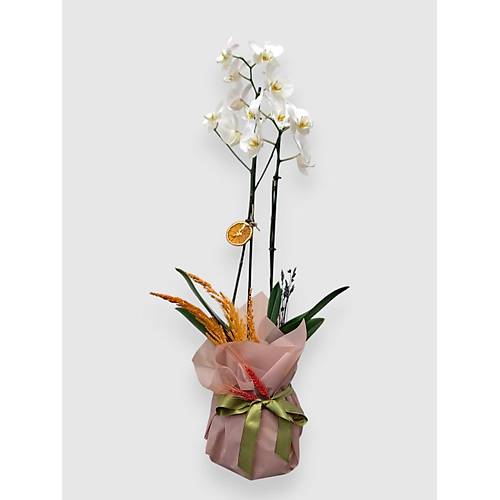 BITKI TASARIMI� Somon Buket Ka��tl� Saks�da Beyaz �iftli Orkide