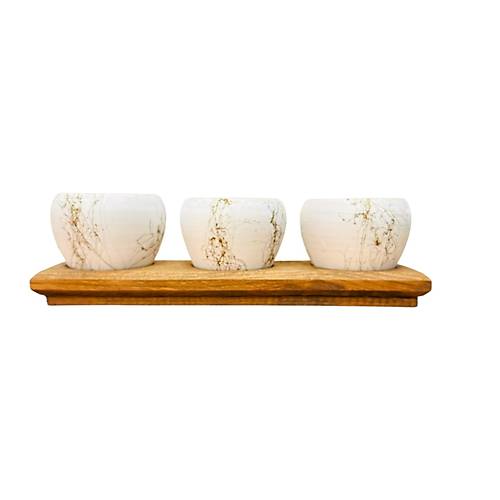 Bitki Tasar�m� White Marble Premium 3'l� Sukulent Kakt�s Saks� | Ah�ap Standl� Dekoratif Saks�l�k