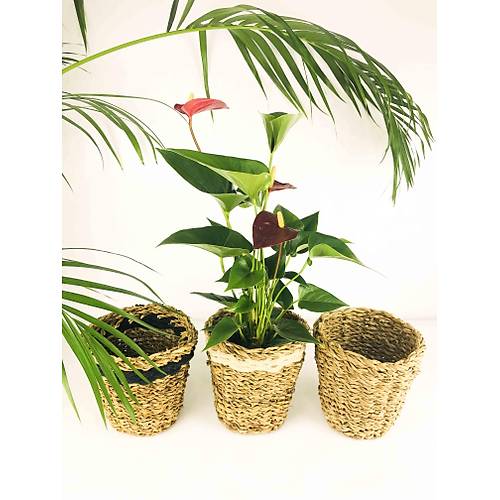BTK TASARIMI DOAL KALIN KREM- SYAH ERTL VE SADE HASIR SEPET L SET MD