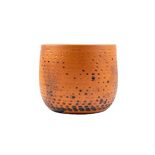 Bitki Tasar�m�  Siyah Nokta Desenli Toprak Saks� Saks�l�k Salon �i�eklik - 19 CM  