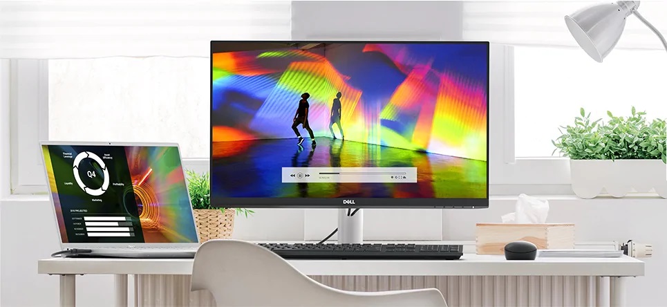 Dell 24