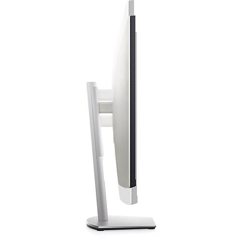 Dell 24
