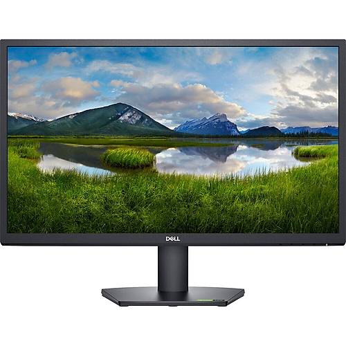Dell 24