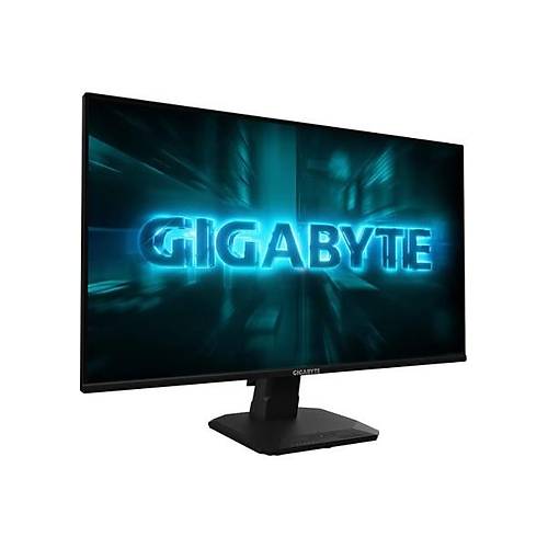 Gigabyte G�gabyte GS25F2A 24.5