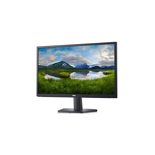 Dell 24