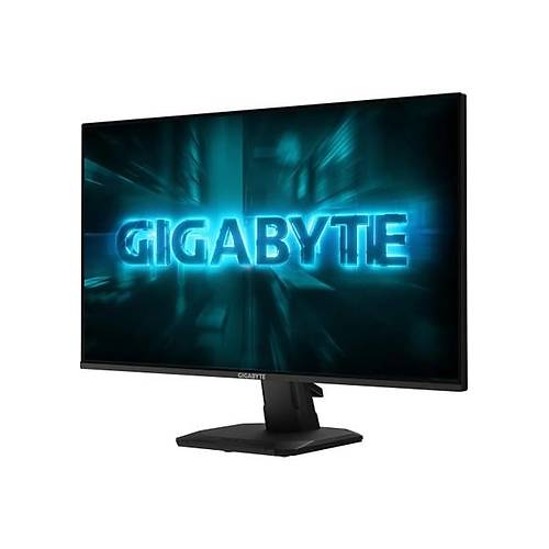 Gigabyte G�gabyte GS25F2A 24.5