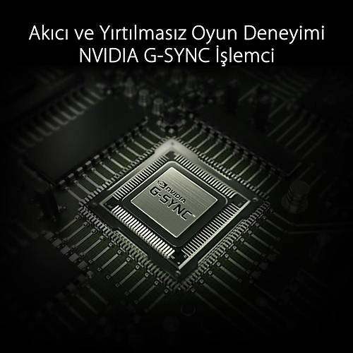 Asus PG259QNR 24.5