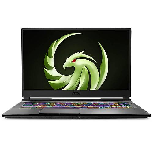MSI Alpha 17 B5EEK-018XTR AMD Ryzen 7 5800H 16GB 512GB SSD 8GB RX6600M 17.3 144Hz Freedos
