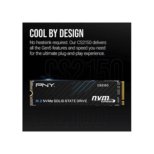 PNY CS2150 1tb 10200/8300 Mb/s M.2 Nvme SSD (M280CS2150-1TB-TB)