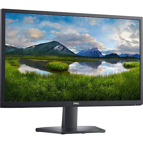 Dell 24