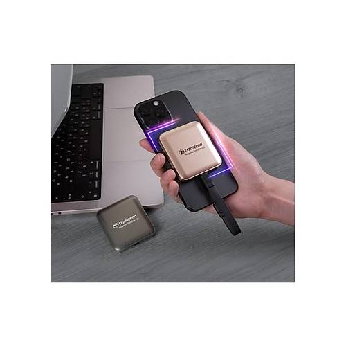 Corsair Transcend ESD420 Portable 1tb Magsafe Bej SSD (TS1TESD420G)