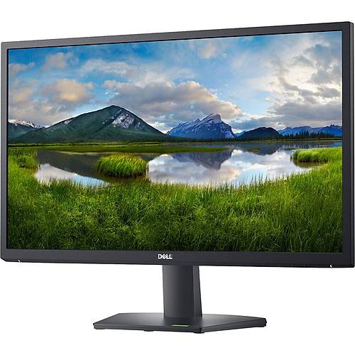 Dell 24