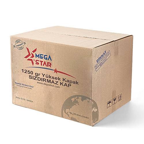 Sızdırmaz Kap MEGASTAR 1250 cc. Yüksek Kapak 400'lü Koli