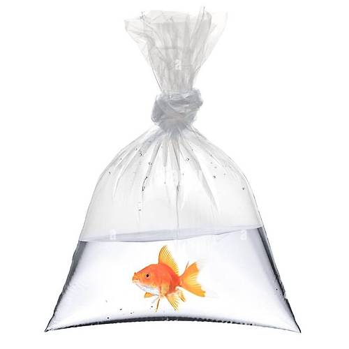 arkteri (Bakliyat) Torbas 5'lik 25 kg'lk paket