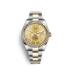 G�rsel 1