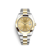 G�rsel 1