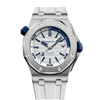 G�rsel 1