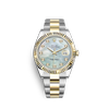 G�rsel 1