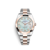 G�rsel 1