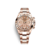 G�rsel 1