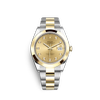 G�rsel 1
