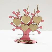5 ' li Canm Ailem Soy Aac Pembe