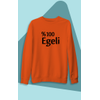 G�rsel 13