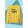 G�rsel 11