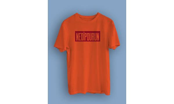 Nedipdurun(niseks Tirt)