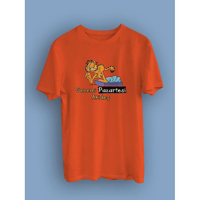 Garfield Genemi Pazartesi Akide�(�niseks Ti��rt)
