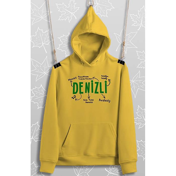 Denizli Tasar�m� (�niseks Kap��onlu)