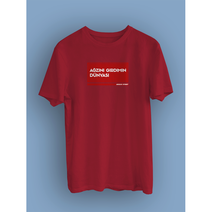 Azn Grdmn Dnyas  Sokak Tabelas (niseks Tirt)