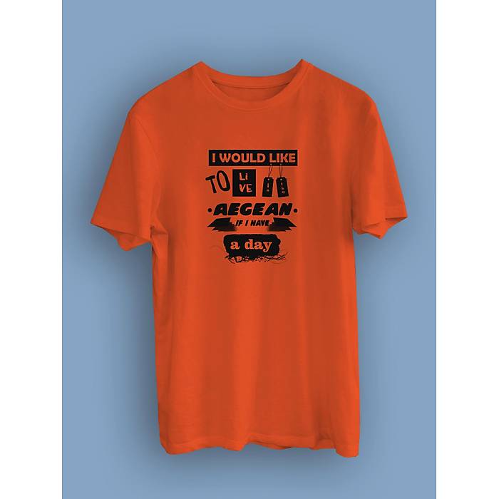 I Would Like To Aegean(niseks Tirt)