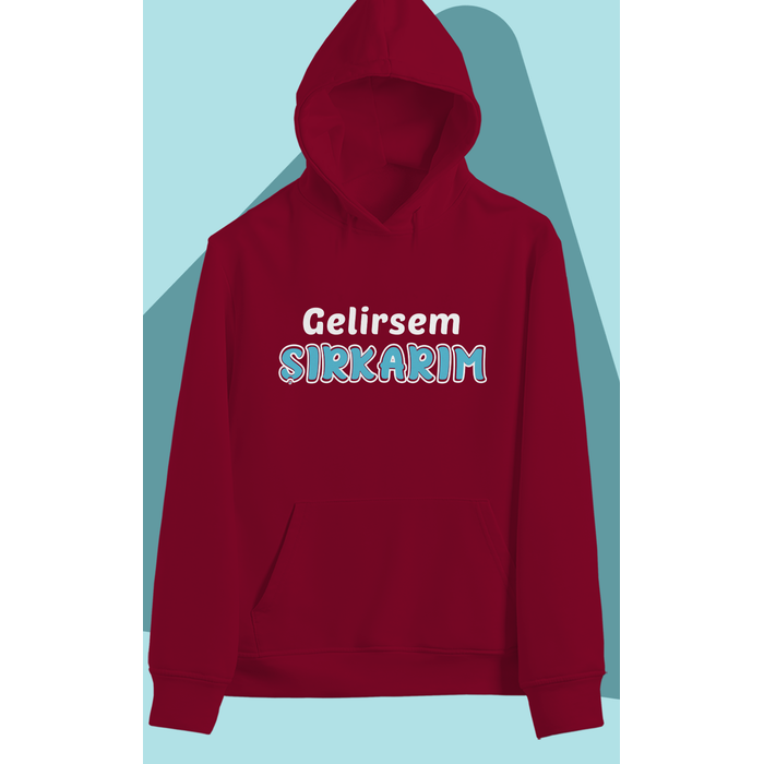 Gelirsem ��rkar�m (�niseks Kap��onlu)