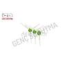G�rsel 2