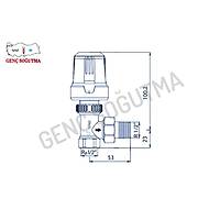 E.C.A. Termostatik Radyatr Valfi Dz Trv3