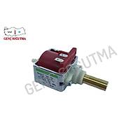 Ulka Su Pompa Motoru 48 Watt EX5 Model